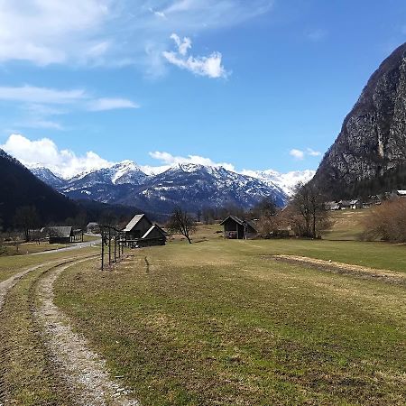 Apartments & Rooms Stare Bohinj Exterior photo