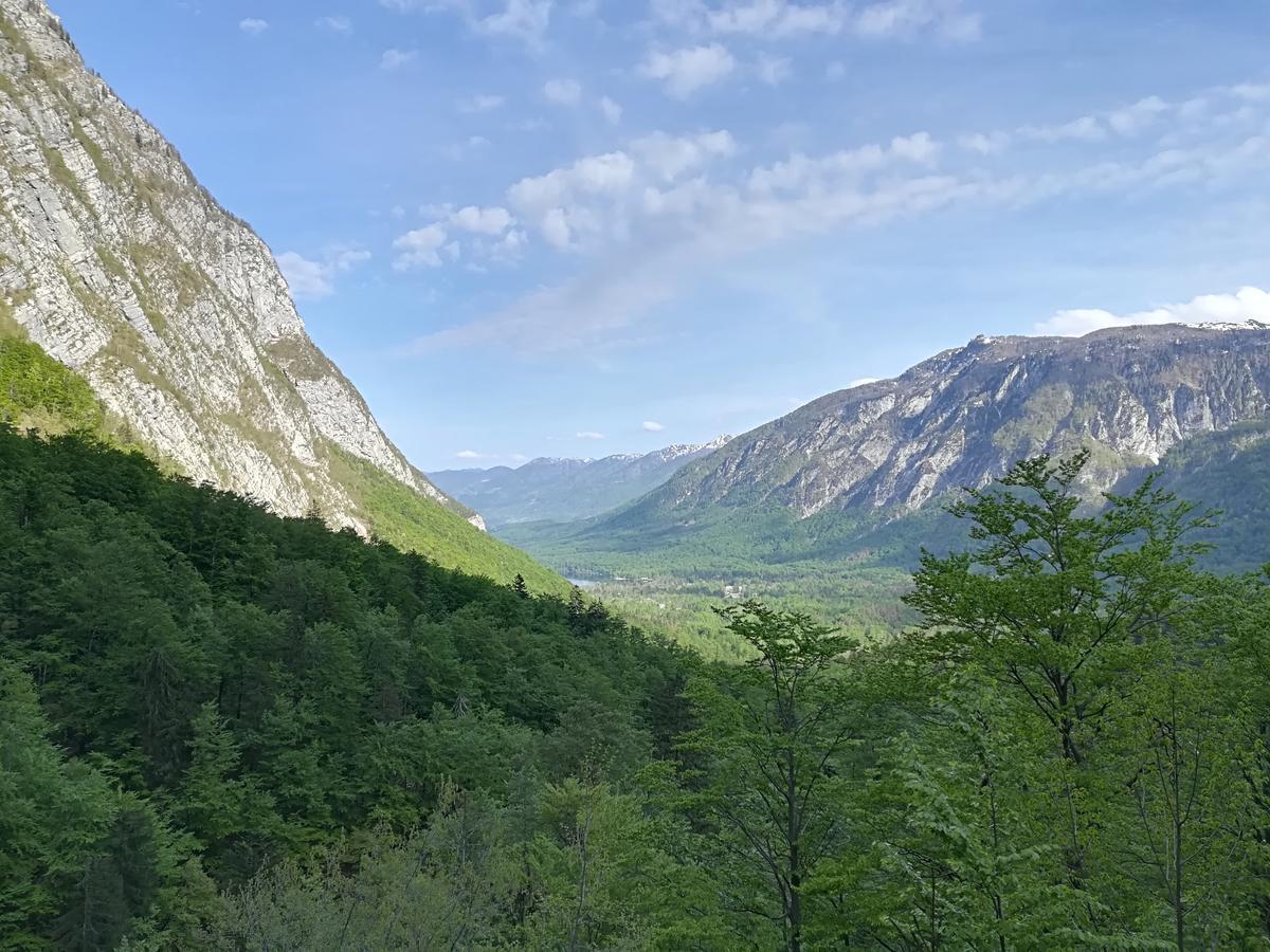 Apartments & Rooms Stare Bohinj Exterior photo